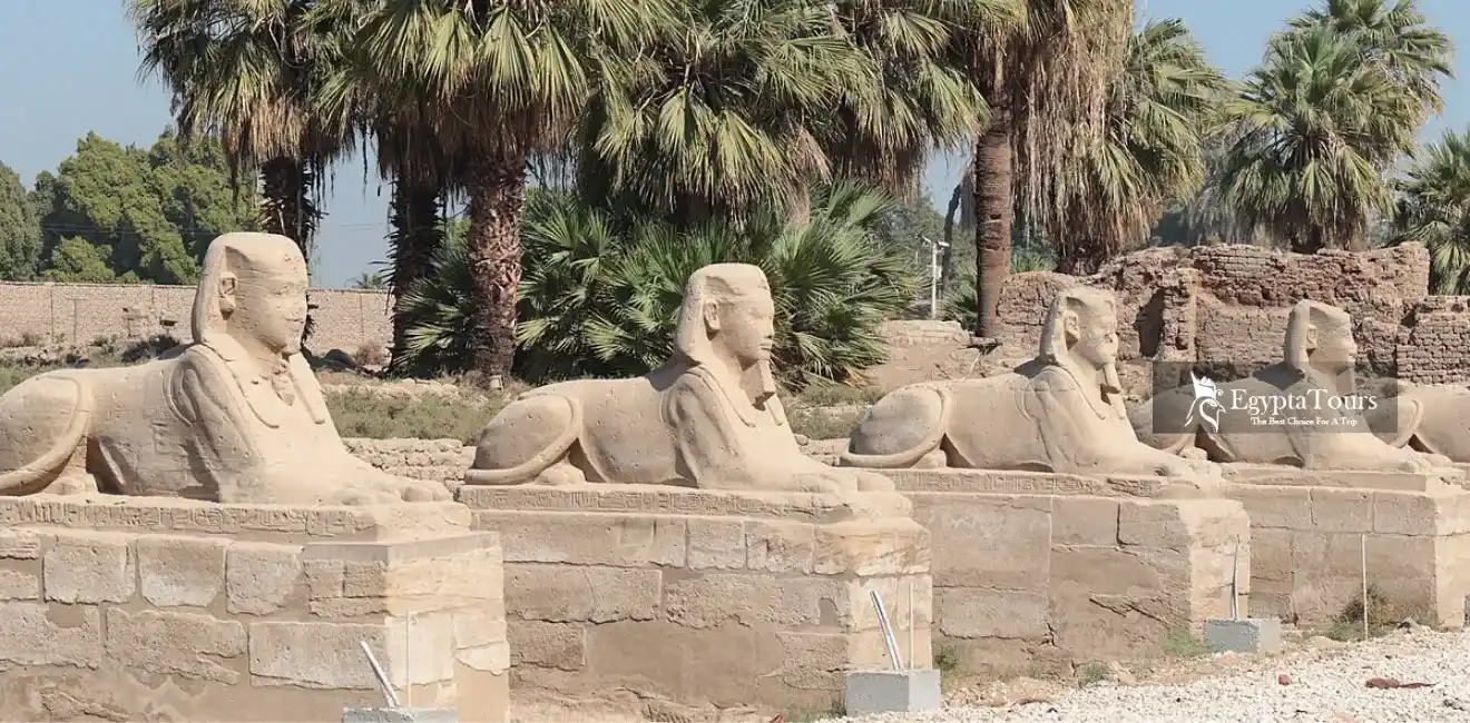 How-to-Visit-the-Avenue-of-Sphinxes-EgyptaTours