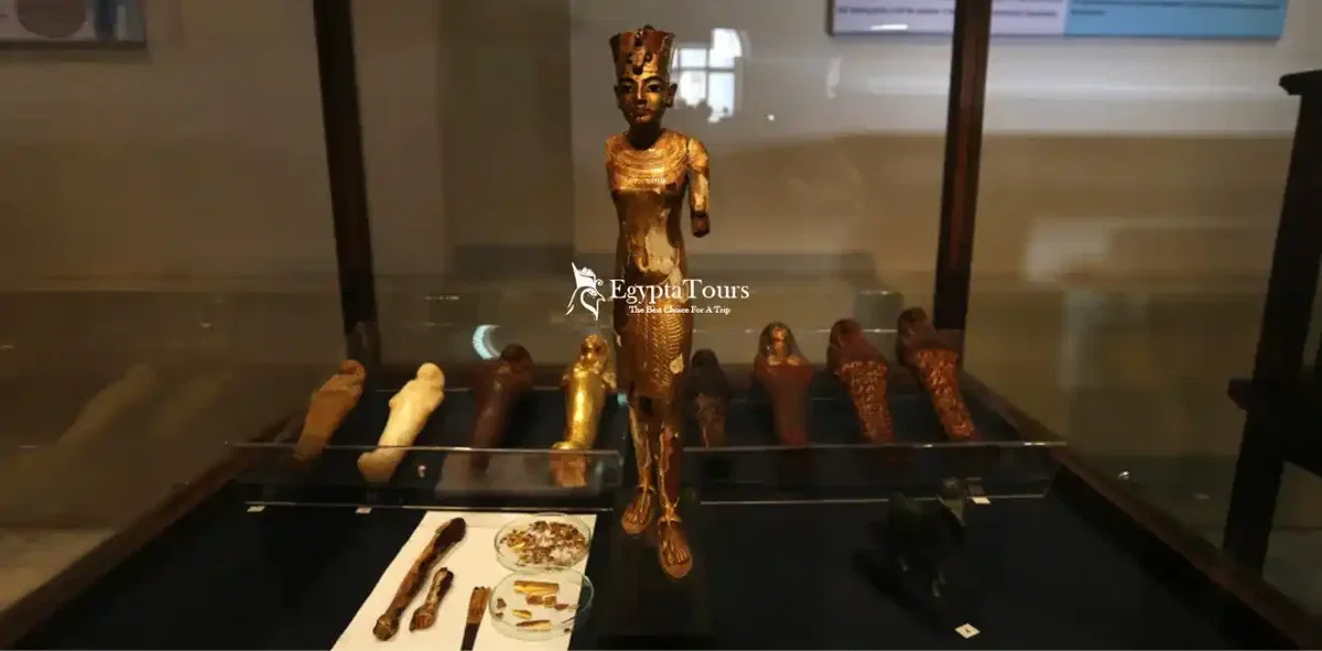 Egyptian Museum: Your Guide to an Unforgettable Experience 3 Contents -Items -To -Display- in -The -Egyptian-Museum