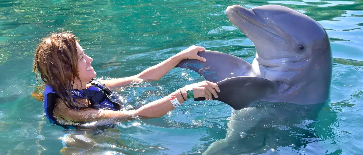 Swim With Dolphin in El Gouna: Best Activity Ever ! 7 Swimming-with-dolphins-in-El-Gouna-EgyptaTours-Activities