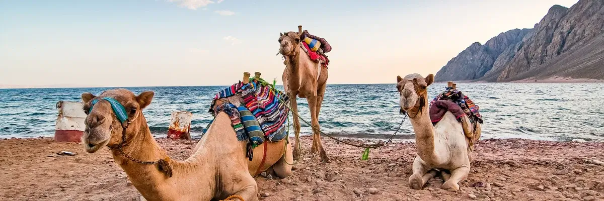 The-10-Best-Places-to-Visit-in-Egypt– February