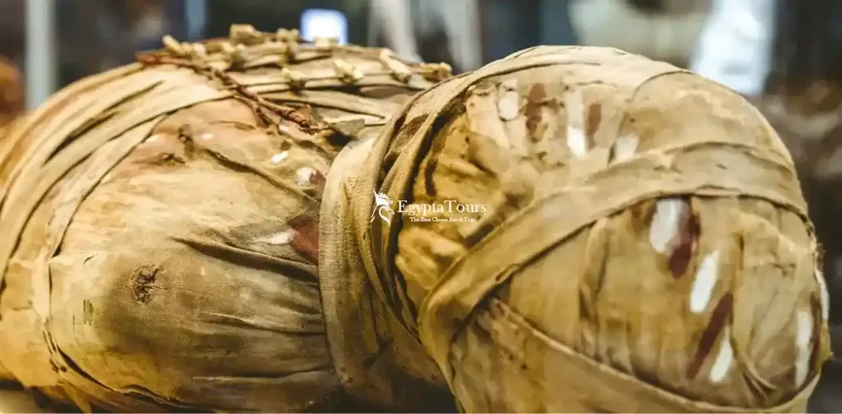 Egyptian Museum: Your Guide to an Unforgettable Experience 6 Treasures- of -Tutankhamen -in -the- Museum