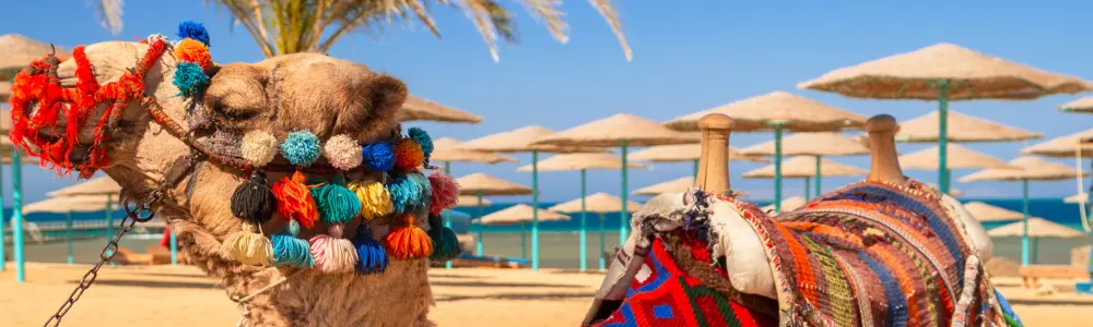 Hurghada 2 hurghada_beauty