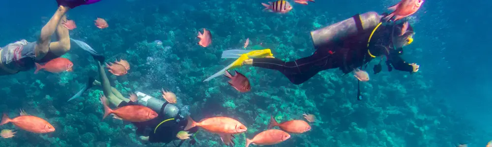 Hurghada 3 snorkling_hurghada-egypt