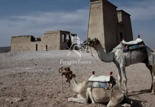 Temple-of-Dakka-Facts-Featured-Image-EgyptaTours