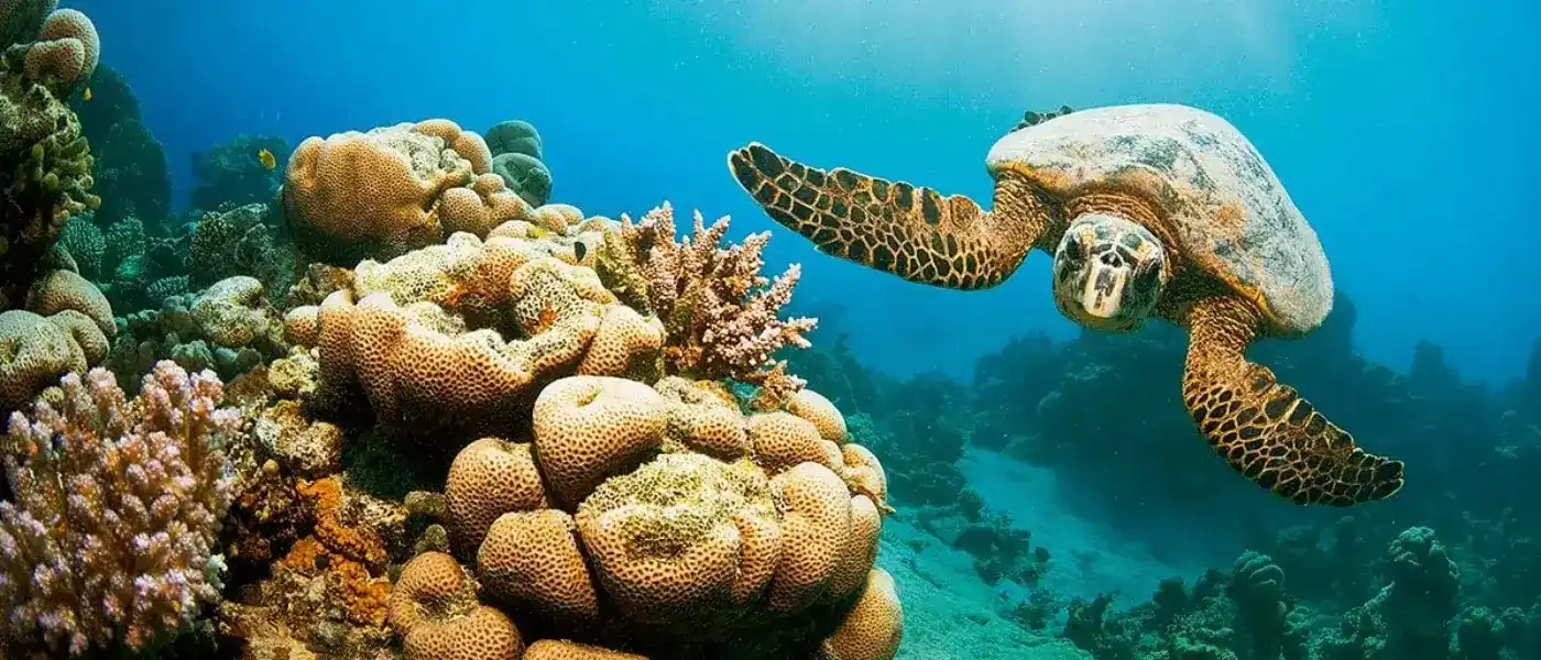 Marsa-alam-egypt-tour-packages-from-srilanka