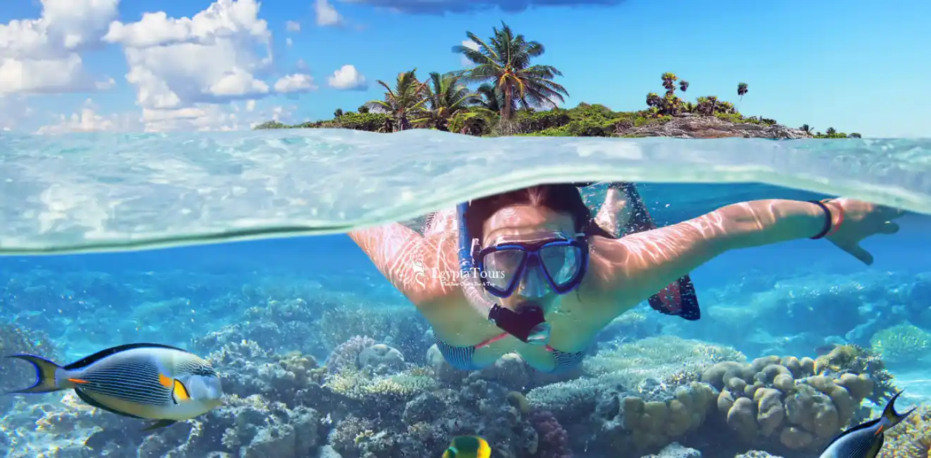 Best- time- for- Snorkeling- and- Diving- the- Red -Sea