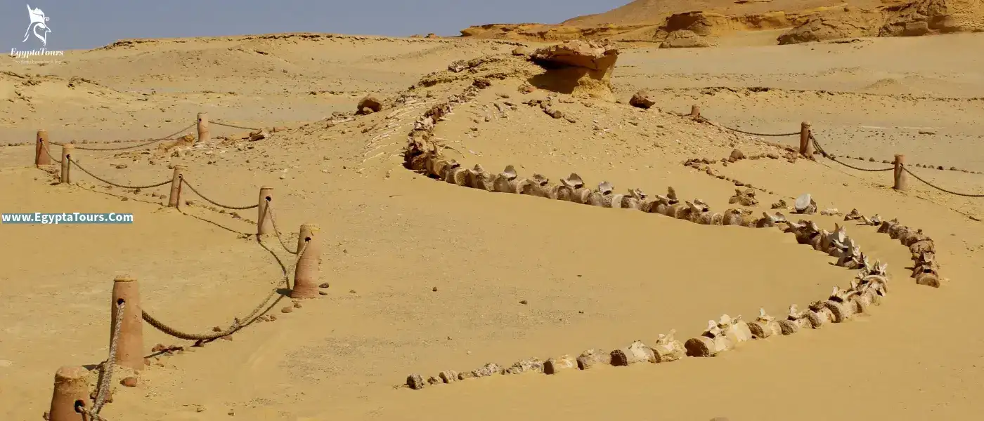 Fayoum Oasis 4 Archeological-Park-of-Wadi-Al-Hitan-EgyptaTours