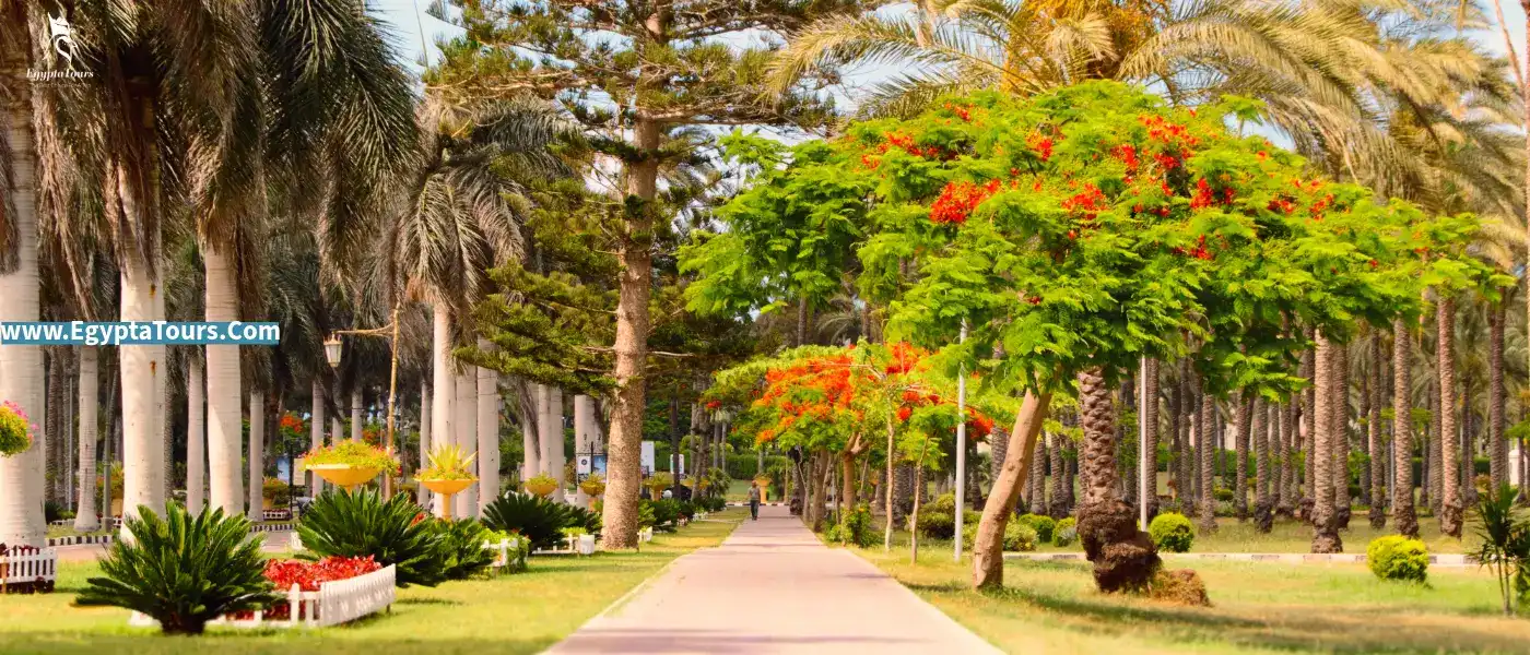 The-10-Best Things-to-do-in-Alexandria-Montazah-Gardens
