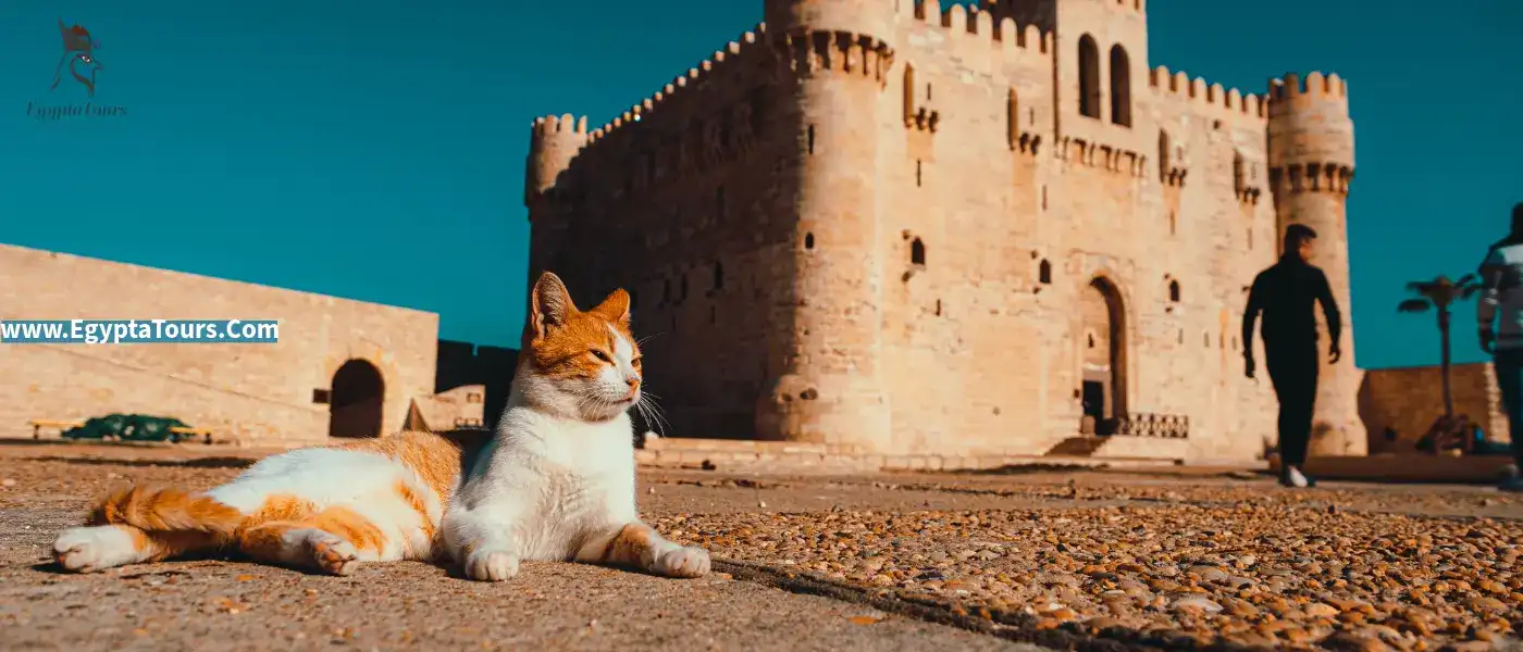 The-10-Best Things-to-do-in-Alexandria-Qaitbay-Citadel
