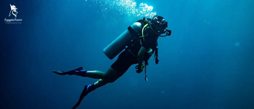 All-inclusive trips to Egypt From USA 2 All-inclusive-trips-to-Egypt-from-USA-Diving