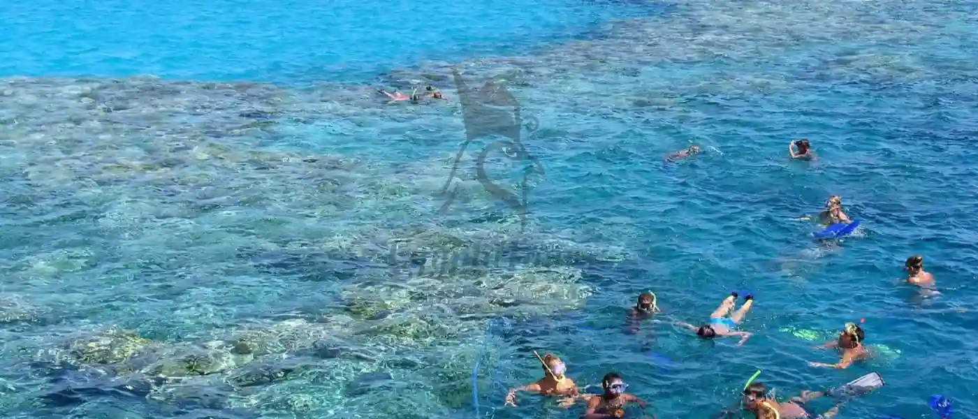 Best Time to Visit Egypt for Diving Adventures 2 Best-Time-to-Visit- Egypt-for-Diving-EgyptaTours