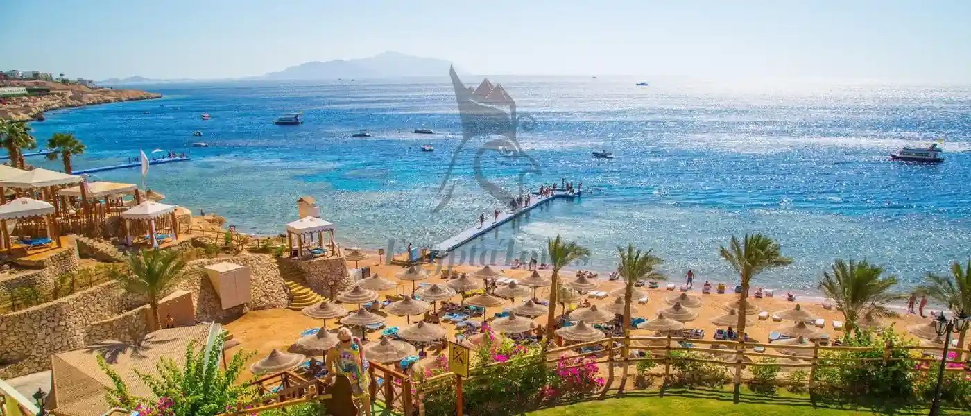 Best Time to Visit Egypt for Diving Adventures 5 Frequently-Asked Questions-about best-time-to-visit Egypt-For-Diving