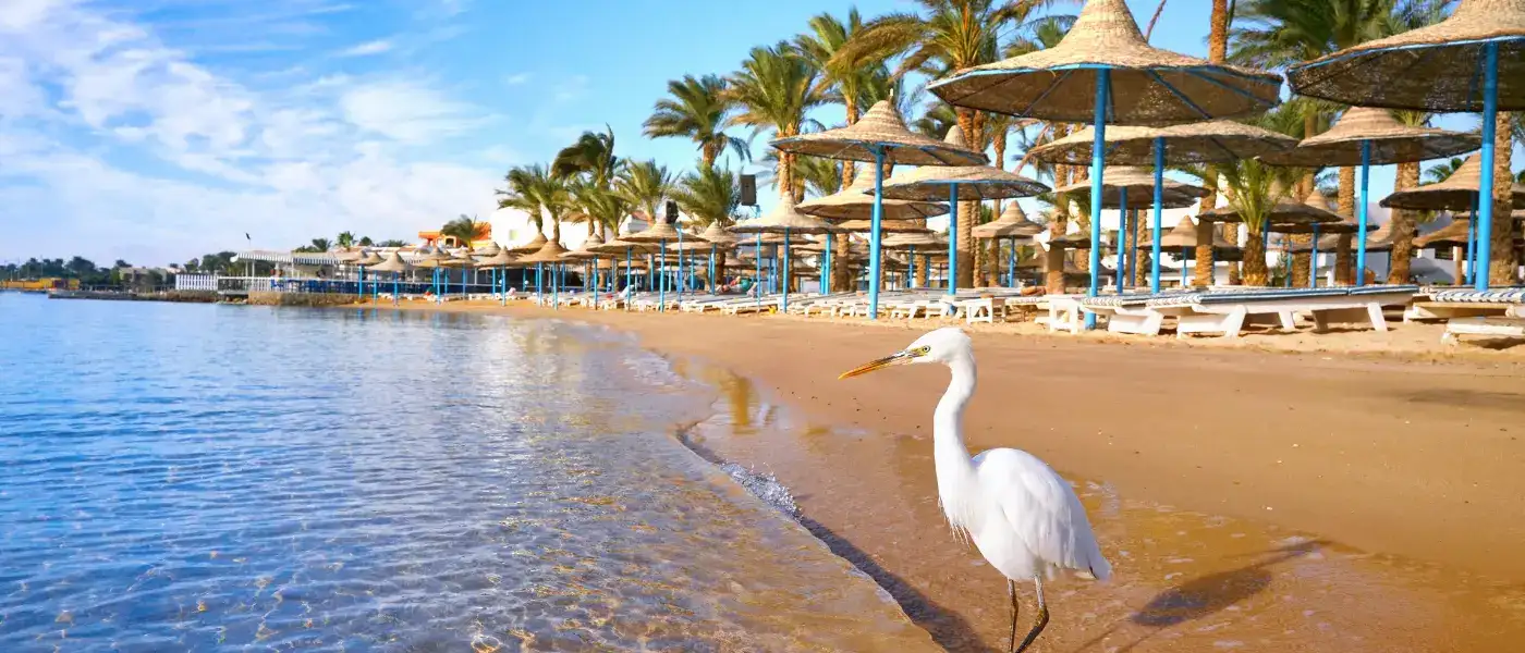January Weather in Egypt: Discover the Best Time to Visit 9 January-Weather-in-Egypt-in-Hurghada