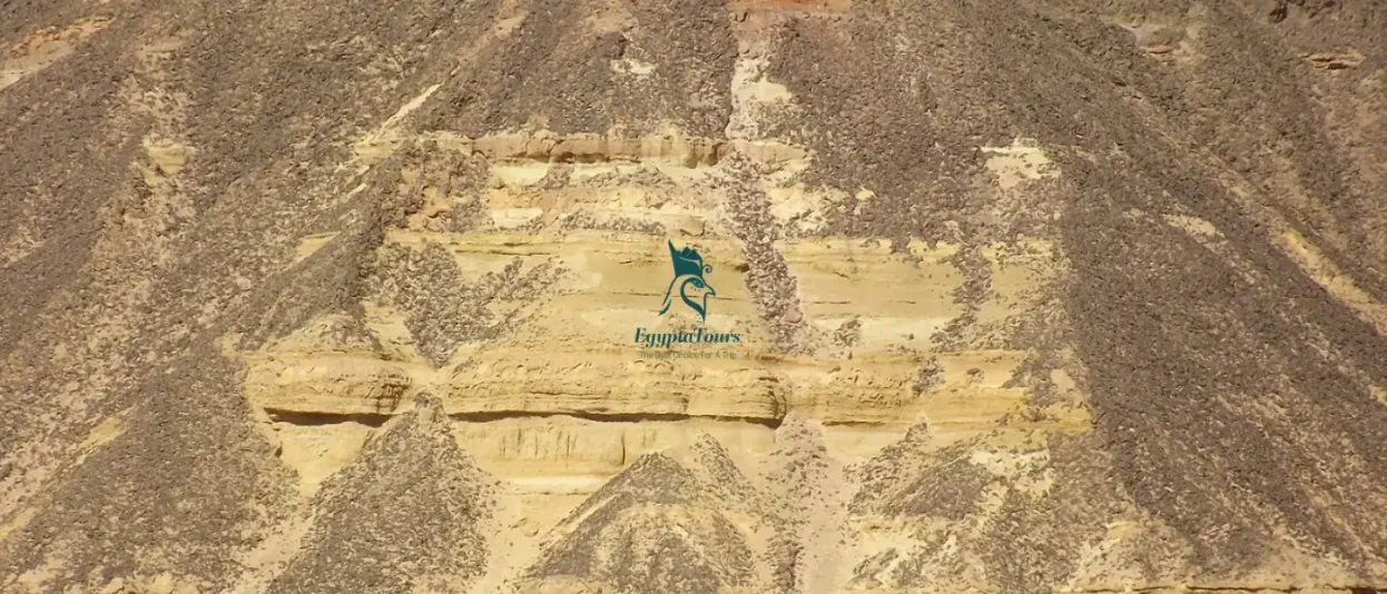 Best 21 National Parks in Egypt 8 Best-21-National-Parks-in-Egypt-EgyptaTours-17-Lake-Qarun-Protected-Area