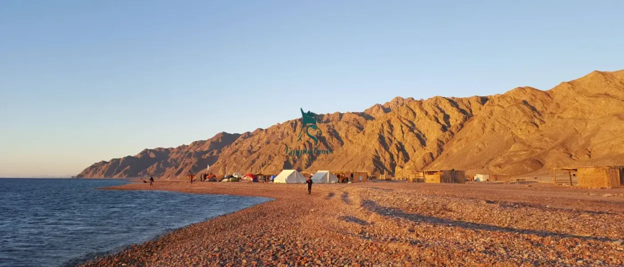 Best 21 National Parks in Egypt 6 Best-21-National-Parks-in-Egypt-EgyptaTours-8-Abu-Galum-Protected-Area