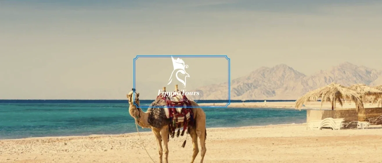 Discover The Best Types of Tourism in Egypt 4 Leisure-Tourism-in-Egypt–Types-of-Tourism-in-Egypt– EgyptaTours