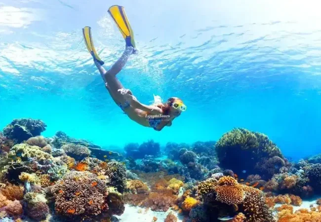 The-Best-Hurghada-Diving-Sites-A-Diver’s-Paradise-Awaits-EgyptaTours