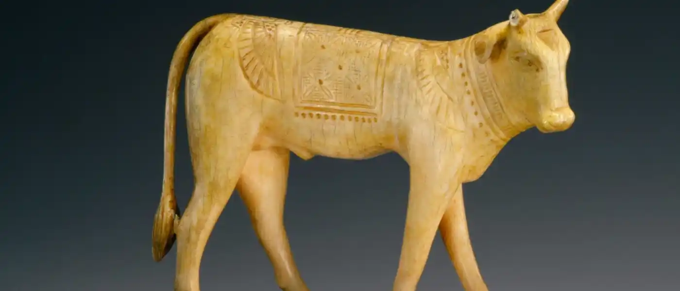 Appearance-of-the-Apis-bull-EgyptaTours