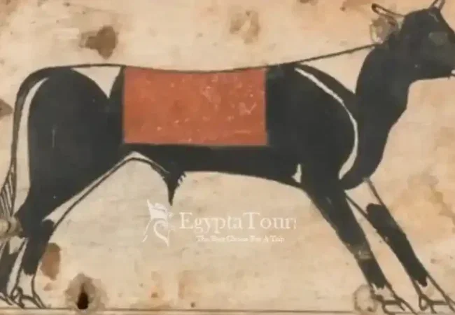 What-Is-Apis-Bull-EgyptaTours-Featured