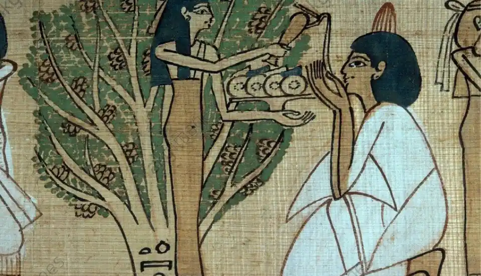 Flowers in Ancient Egypt: Symbolism, Significance and Beauty in Egypt’s History