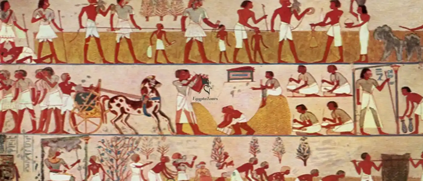 The-ancient-Egyptians-harvest -festival-EgyptaTours