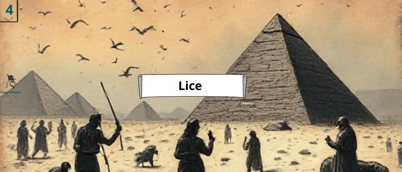 10-Plagues-of-Egypt-2-Lice-EgyptaTours