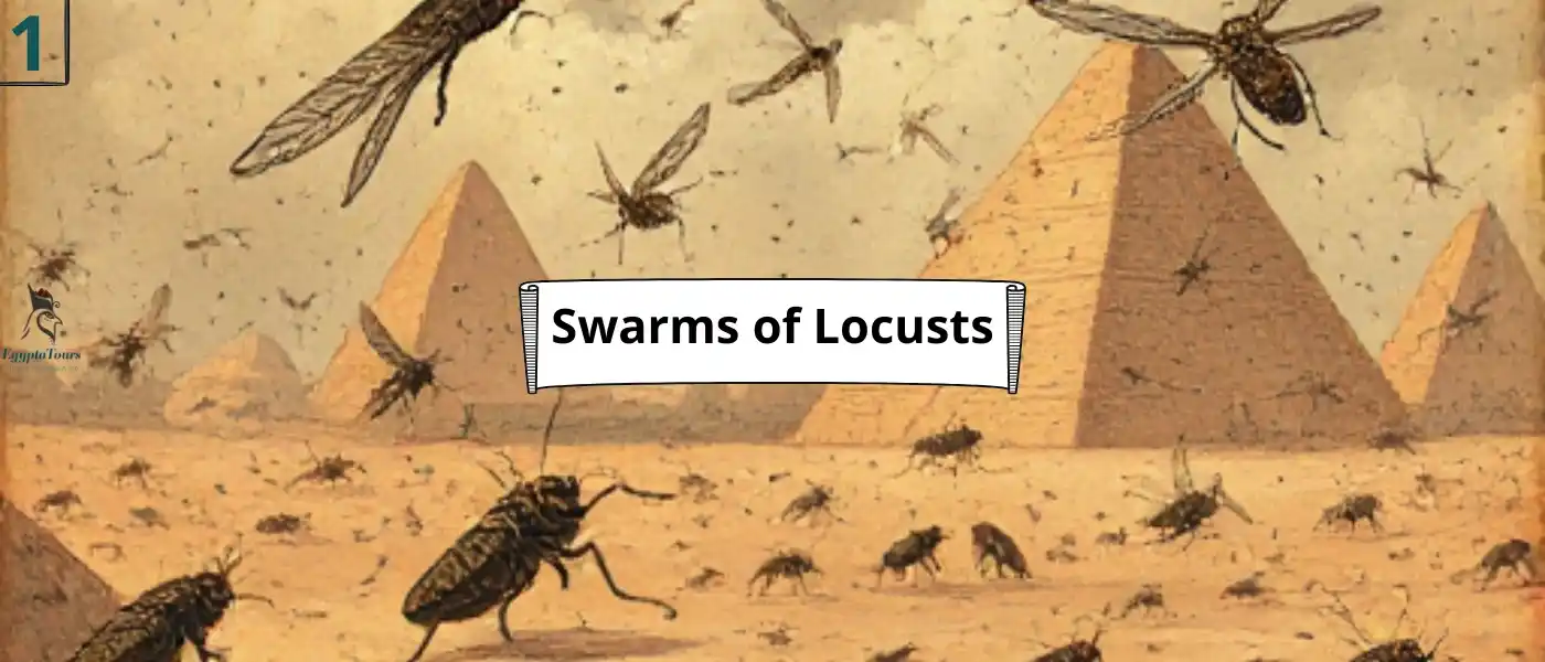 10-Plagues-of-Egypt-Swarms-of-Locusts-EgyptaTours