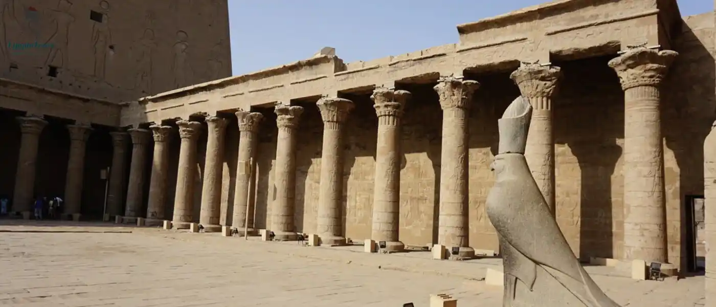 Animals Gods in ancient Egypt: Unveiling the Fascinating Power 8 Animals-Gods-in-ancient-Egypt-Falcon-EgyptaTours