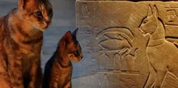 Animals Gods in ancient Egypt: Unveiling the Fascinating Power