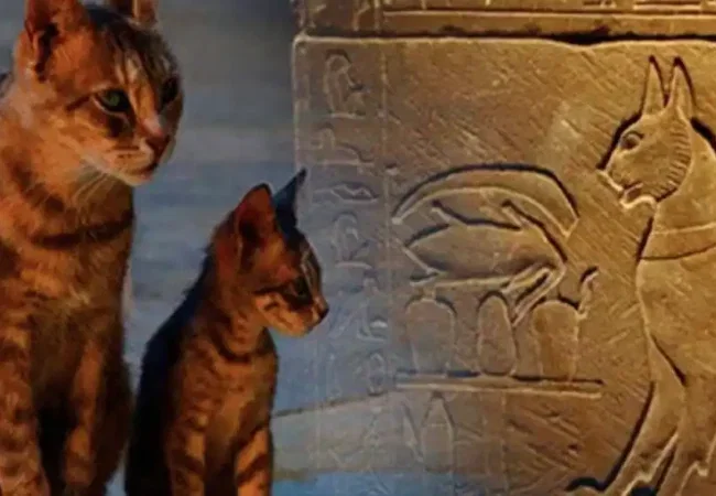 Animals-Gods-in-ancient-Egypt-Unveiling-the-Fascinating-Power-EgyptaTours