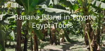 Banana Island in Egypt: A Hidden Paradise of Tranquility and Adventure