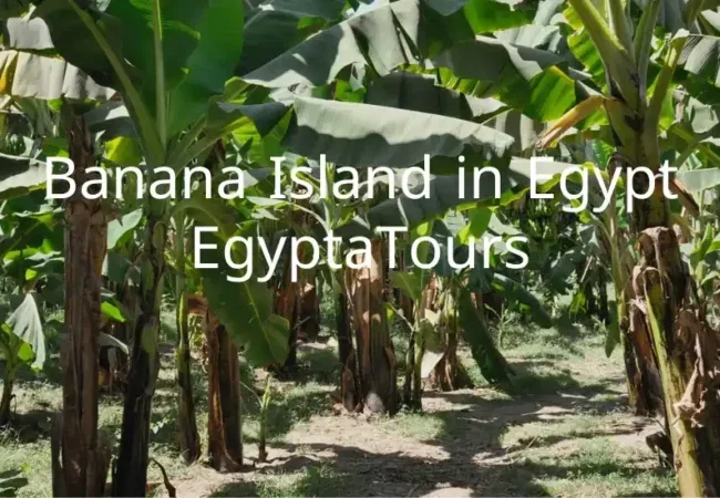 Banana-Island-in-Egypt-Hidden-Paradise-of-Tranquility-and-Adventure-EgyptaTours