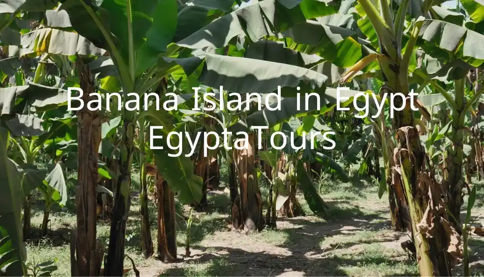 Banana Island in Egypt: A Hidden Paradise of Tranquility and Adventure