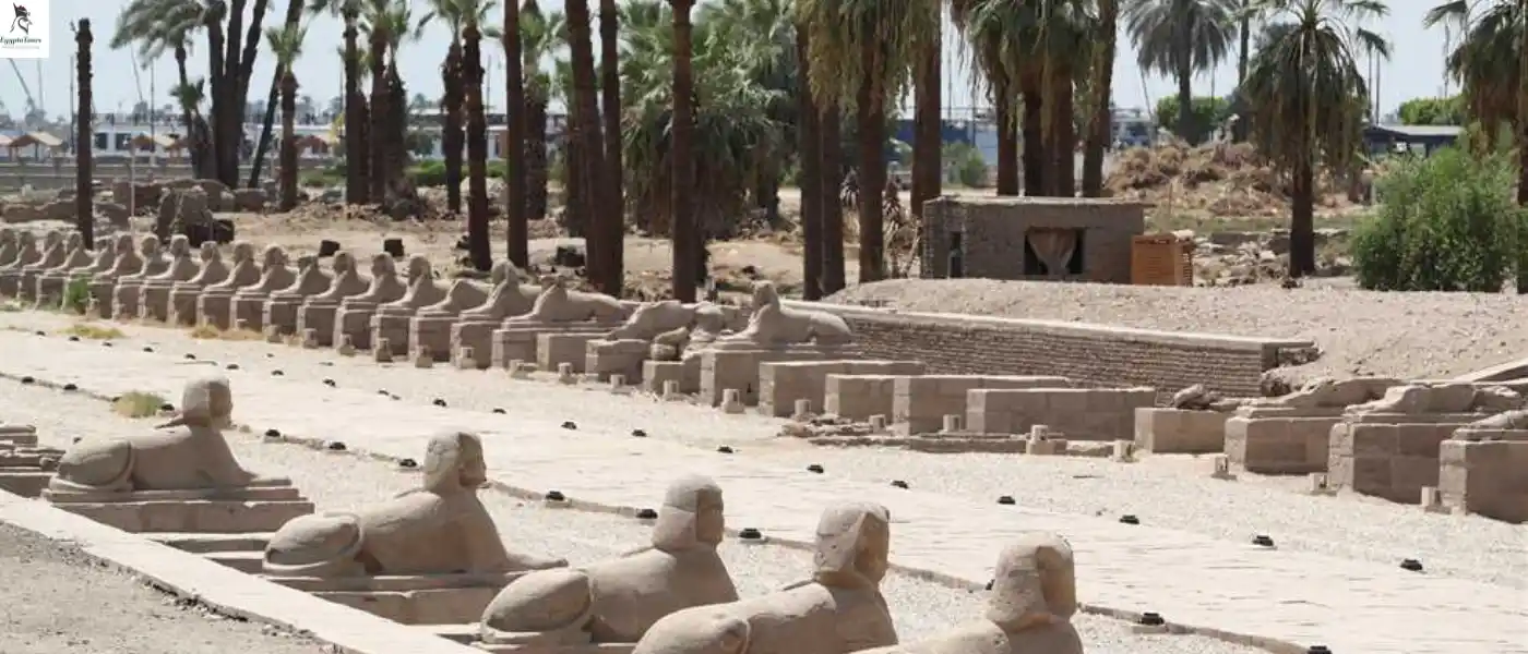Description-of-the-Avenue-of-Sphinxes-EgyptaTours