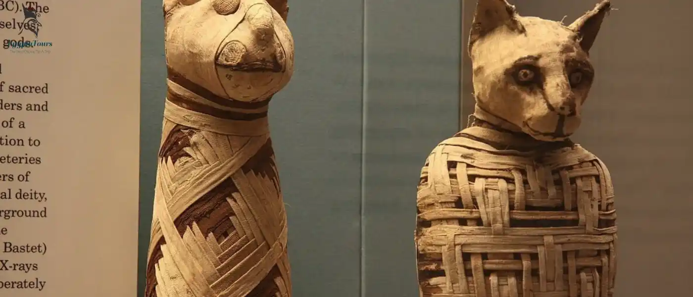 Animals Gods in ancient Egypt: Unveiling the Fascinating Power 10 Some-sacred-animals-of-the-ancient-Egyptians-EgyptaTours-Animals-Gods-in-ancient-Egypt