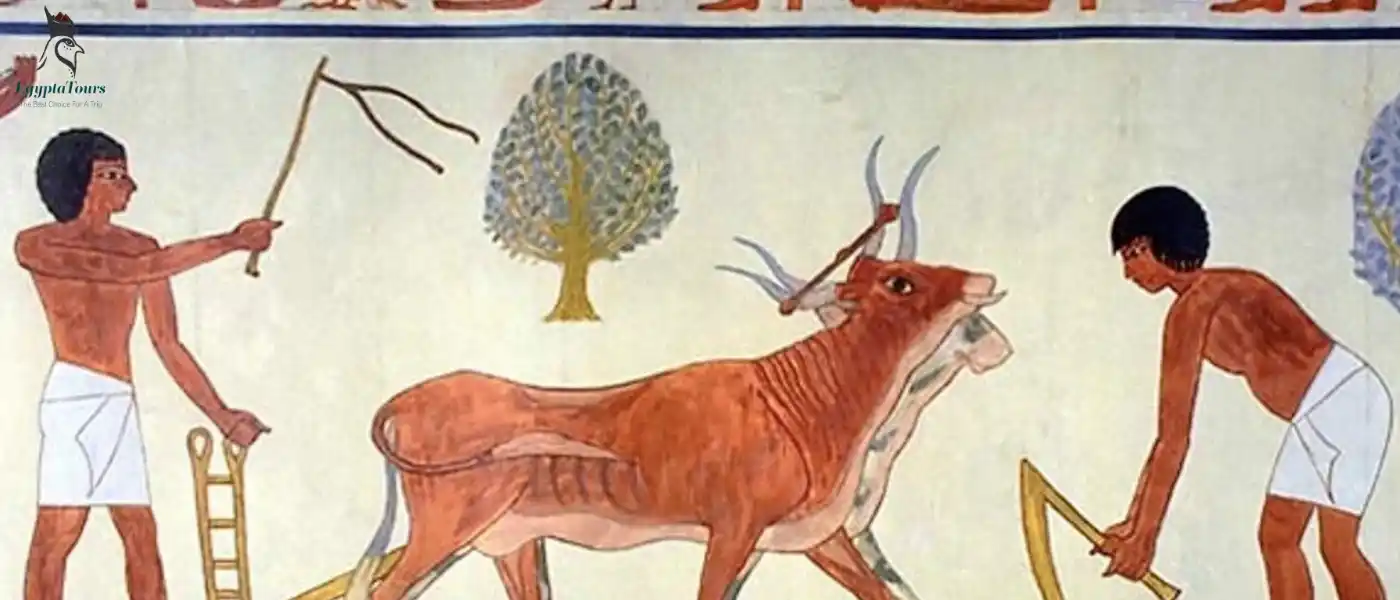 Animals Gods in ancient Egypt: Unveiling the Fascinating Power 9 Some-sacred-animals-of-the-ancient-Egyptians-EgyptaTours-nimals-Gods-in-ancient-Egypt