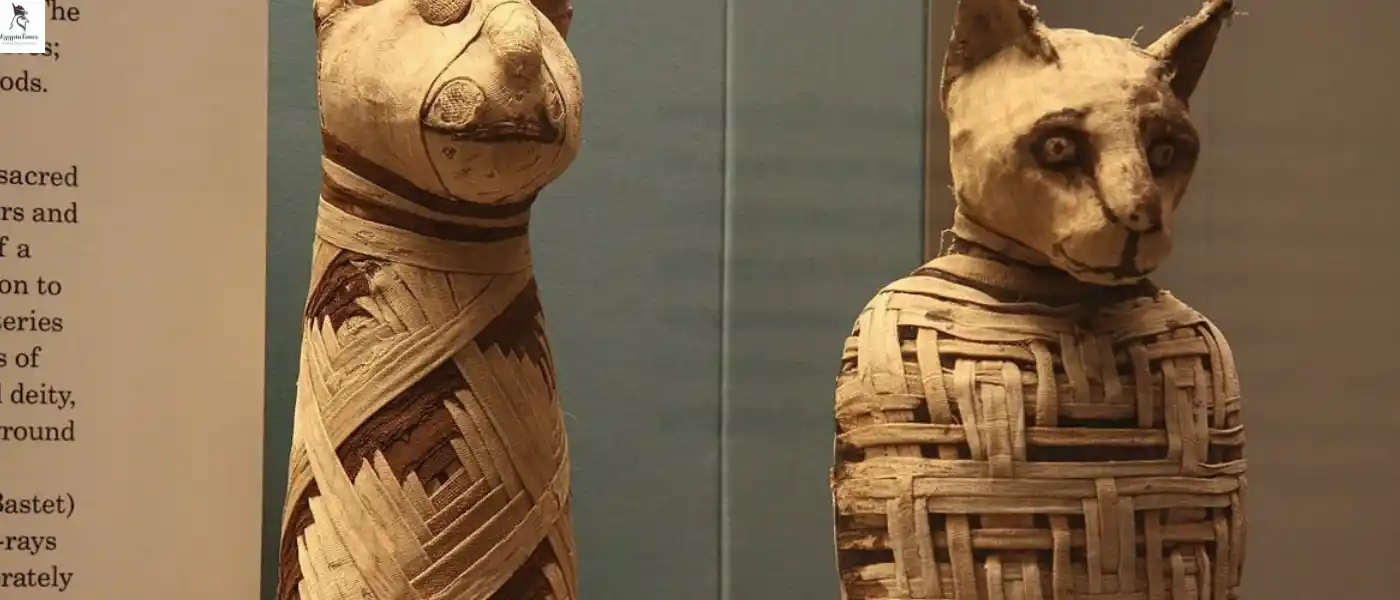The-Sacred-Symbolism-of-Bastet-and-Her-Relationship-with-Cats-EgyptaTours