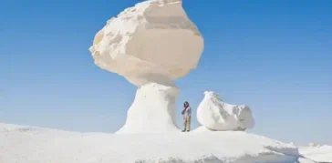 The Western Desert and Magical Oasis