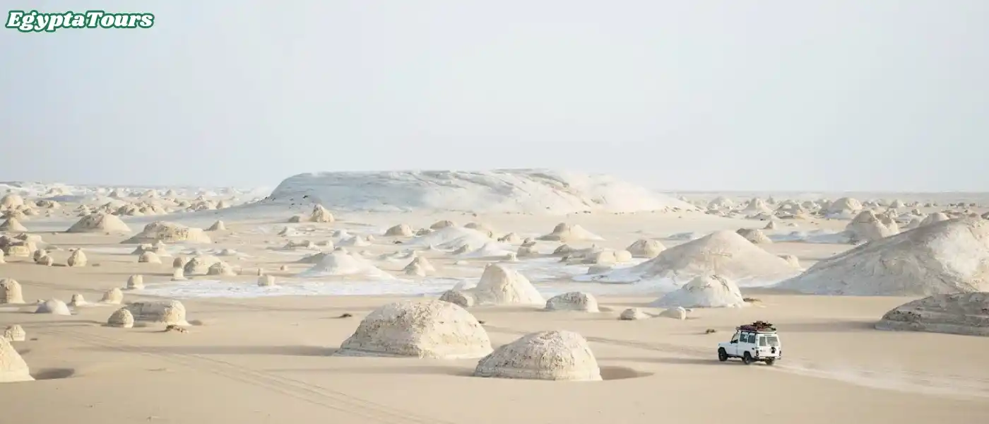 The Western Desert and Magical Oasis 11 The-Western-Desert-and-Magical-Oasis-5-Bahariya-Oasis-EgyptaTours