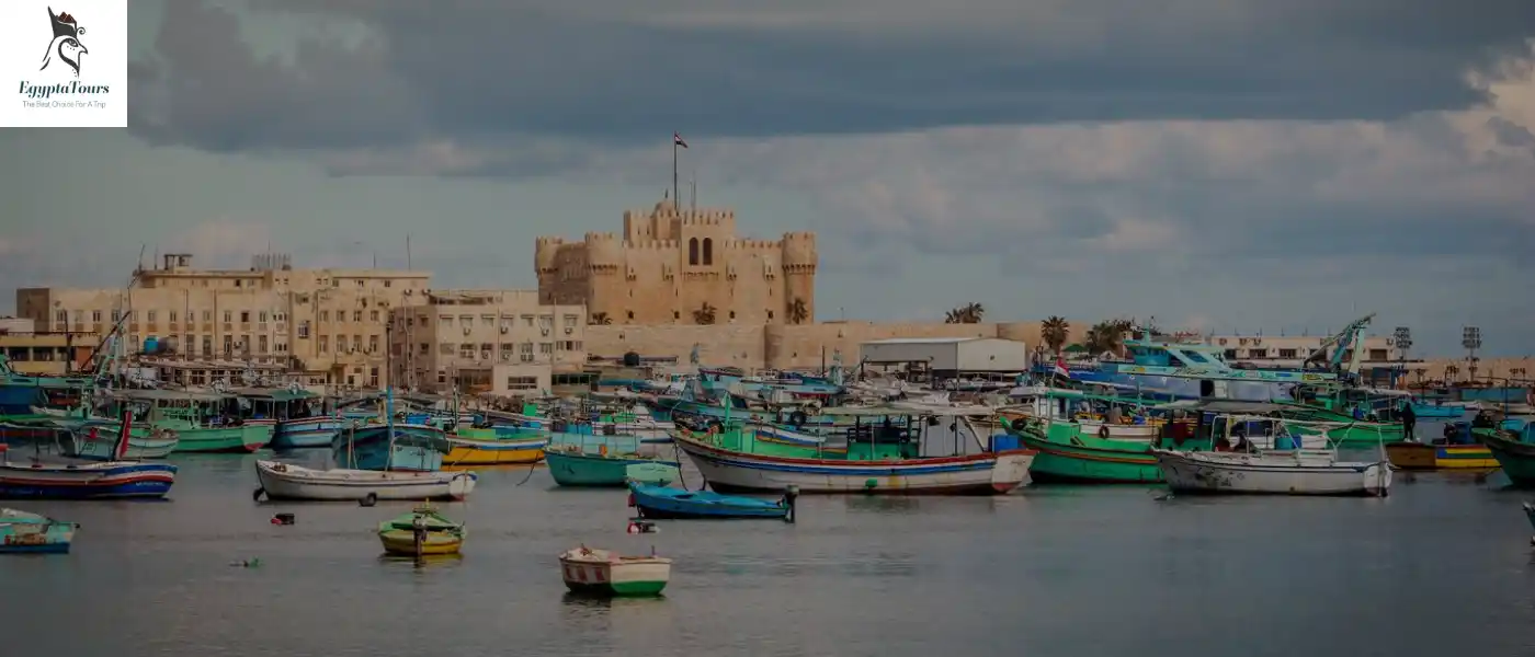 Top 10 Egypt Budget Tours 14 8-Tour-in-Alexandria-op-10-Egypt-Budget-Tours-EgyptaTours