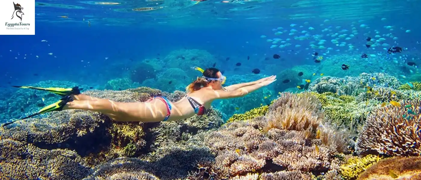 Diving-and-Snorkeling-Egypt-Outdoor-Activities-EgyptaTours