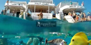 Giftun Island: Your Ultimate Guide to Egypt’s Red Sea Paradise