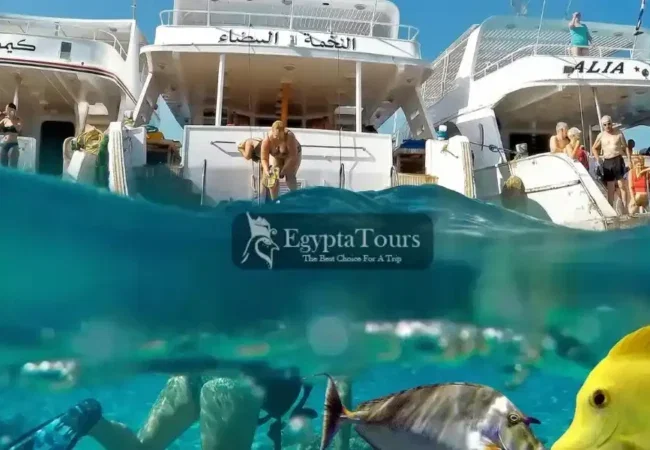Giftun-Island-Your-Ultimate-Guide-to-Egypt’s-Red-Sea-Paradise-EgyptaTours-Featured-Image