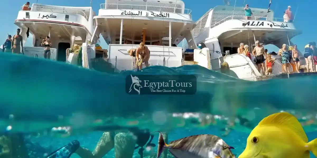 Giftun Island: Your Ultimate Guide to Egypt’s Red Sea Paradise