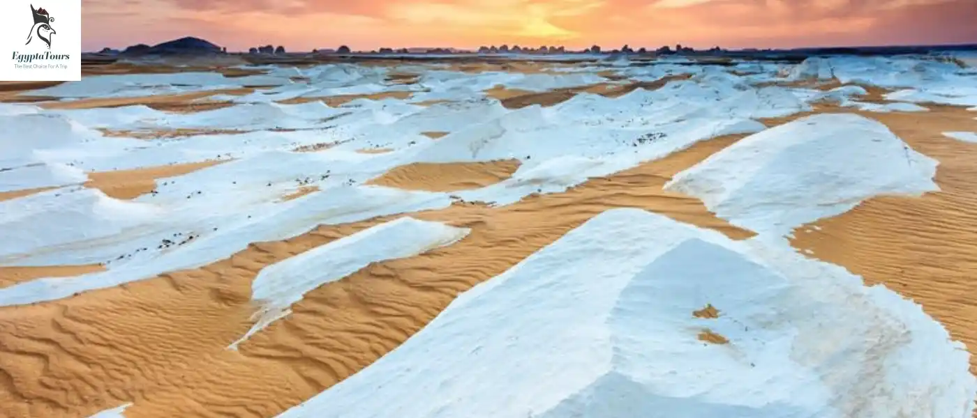 How-to-Enjoy-Egypt-Desert-Safari-Tours-The-Most-Important-Sites-EgyptaTours