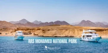 Ras Mohamed National Park: A Complete Guide to Egypt’s Natural Paradise