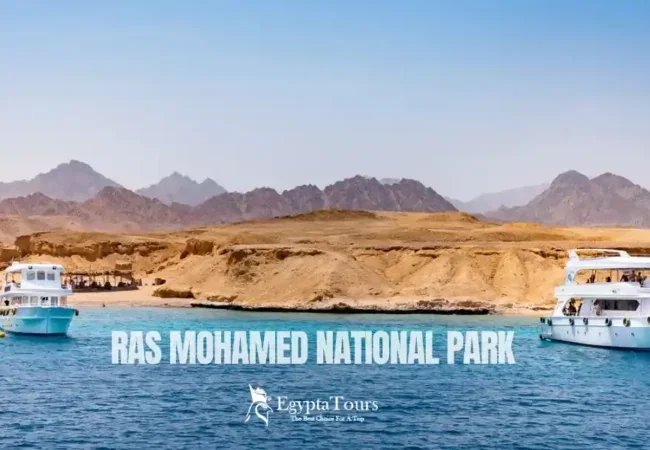 Ras-Mohamed-National Park-A-Complete-Guide-to-Egypt’s-Natural-Paradise-EgyptaTours-Featured-Image