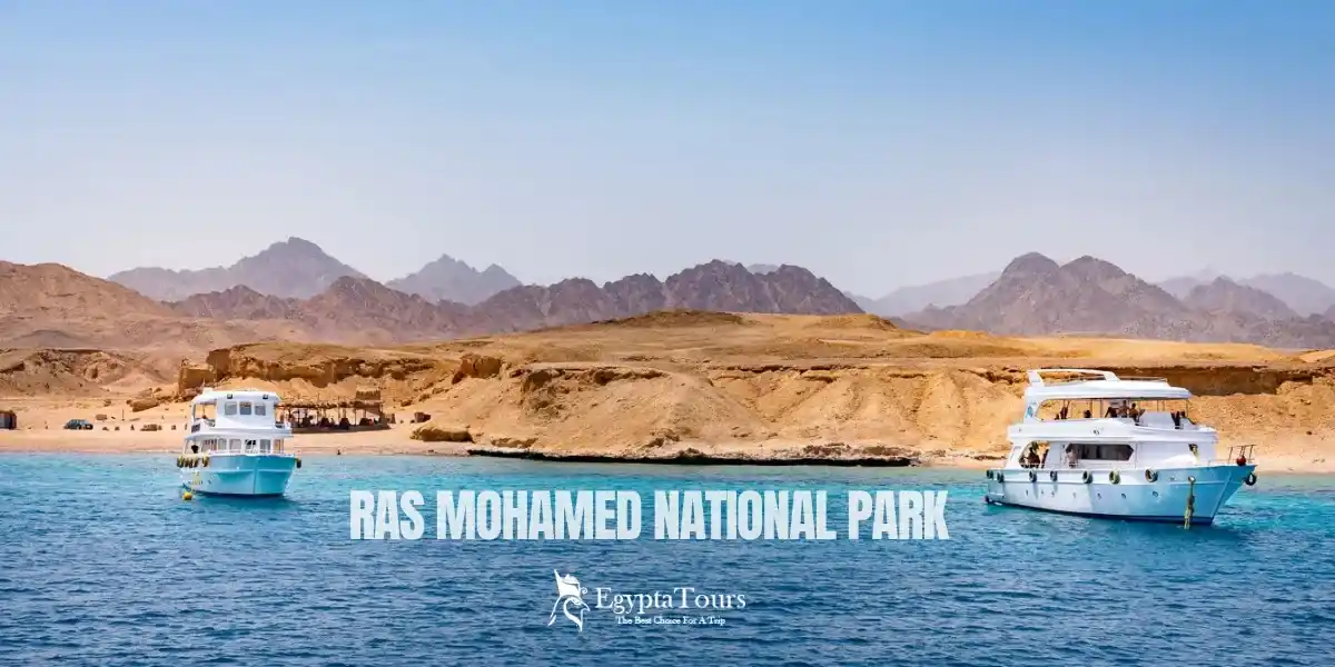 Ras Mohamed National Park: A Complete Guide to Egypt’s Natural Paradise