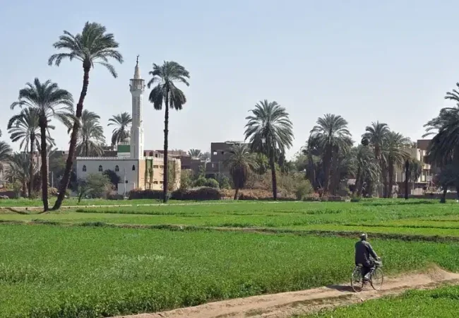 Best-Full-Day-Tour-in-The-Egyptian-Countryside-EgyptaTours