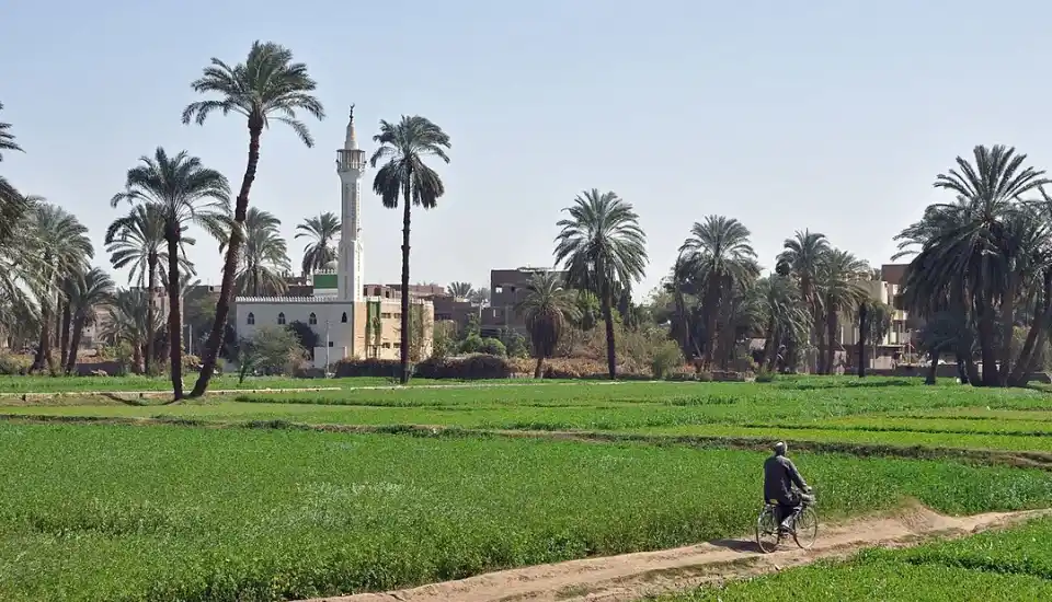 Best Full Day Tour in The Egyptian Countryside